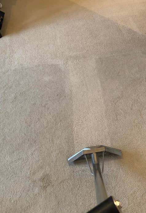 we-remove-carpet-stain