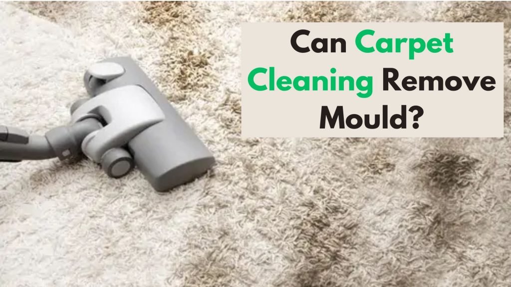 Can Carpet Cleaning Remove Mould?