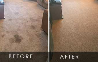 Carpet Deep Cleaning